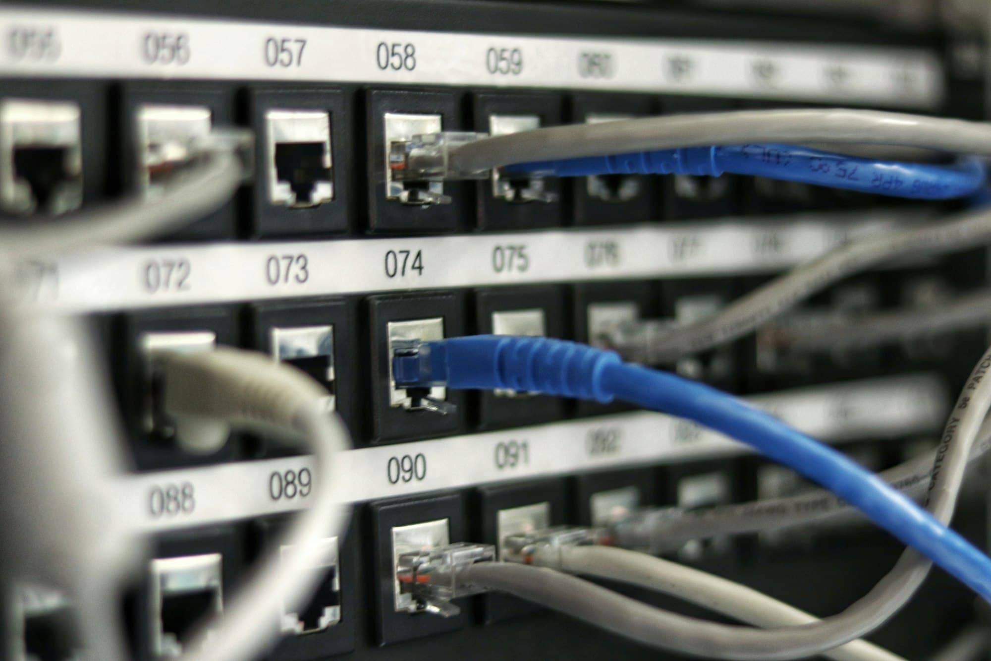 Labeled network patch panel with blue and gray ethernet cables